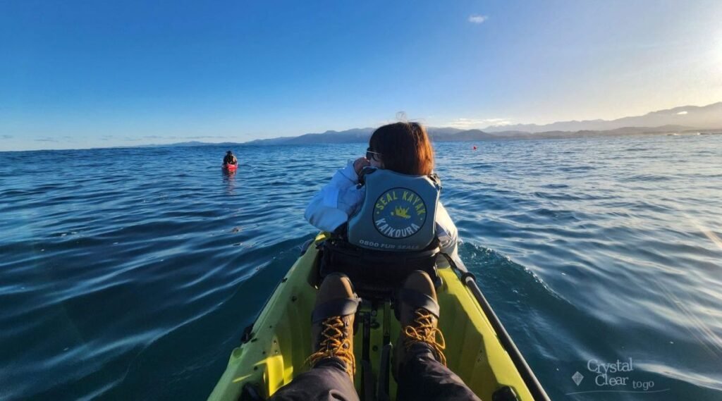 kaikoara seal kayak