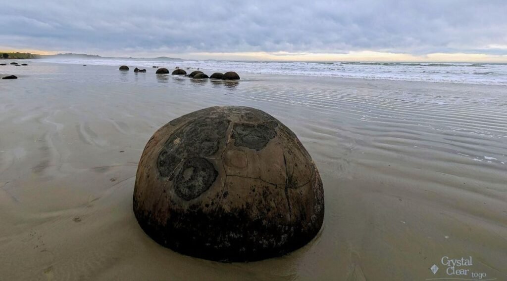 摩拉基巨石 Moeaki NZ new zealand