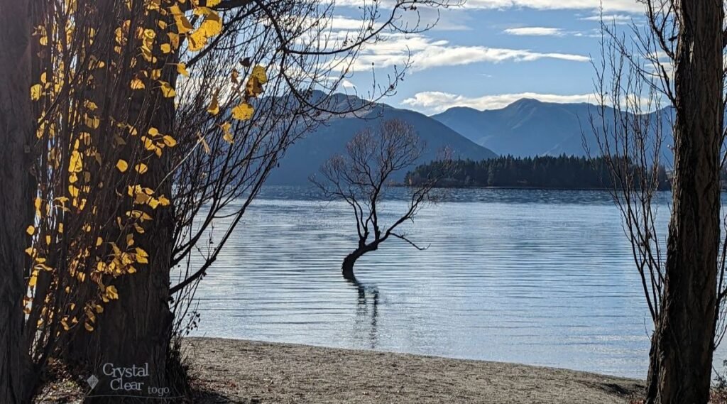 Wanaka the lonely tree 1200x667
