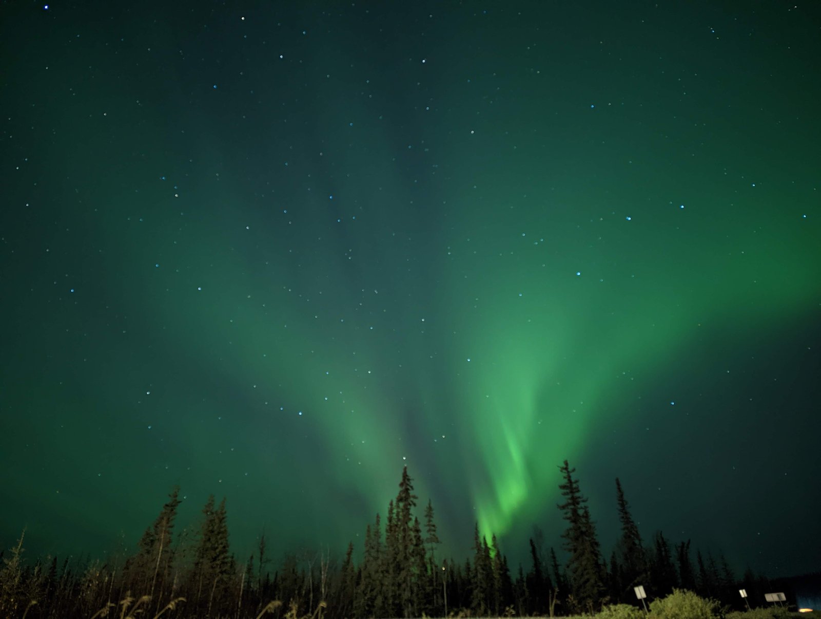 green lights in the sky Aurora Fairbanks Alaska