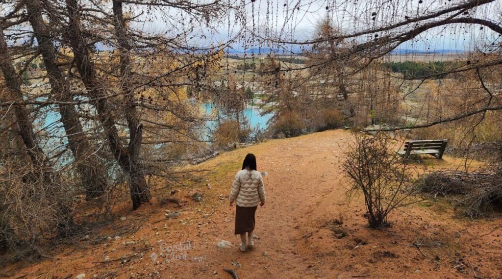 Tekapo Mt John Summit Circuit Track 蒂卡波約翰山環狀步道