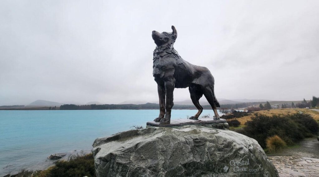 牧羊犬雕像 The Sheepdog Statue