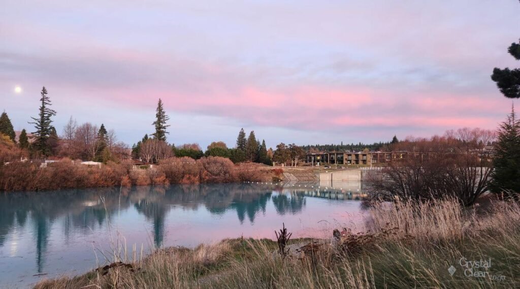 蒂卡波湖 Lake Tekapo tree